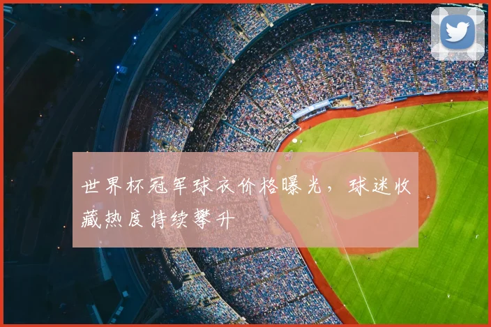 世界杯冠军球衣价格曝光，球迷收藏热度持续攀升